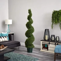 6ft. Potted Rosemary Spiral Tree