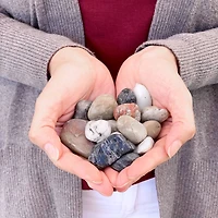 ArtSkills® Small Decorative River Rocks