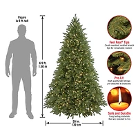 6.5ft. Pre-Lit Jersey Fraser Fir Artificial Christmas Tree, Clear Lights