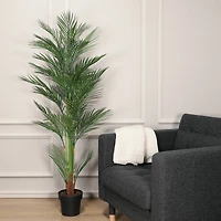5.25ft. Potted Areca Palm Tree