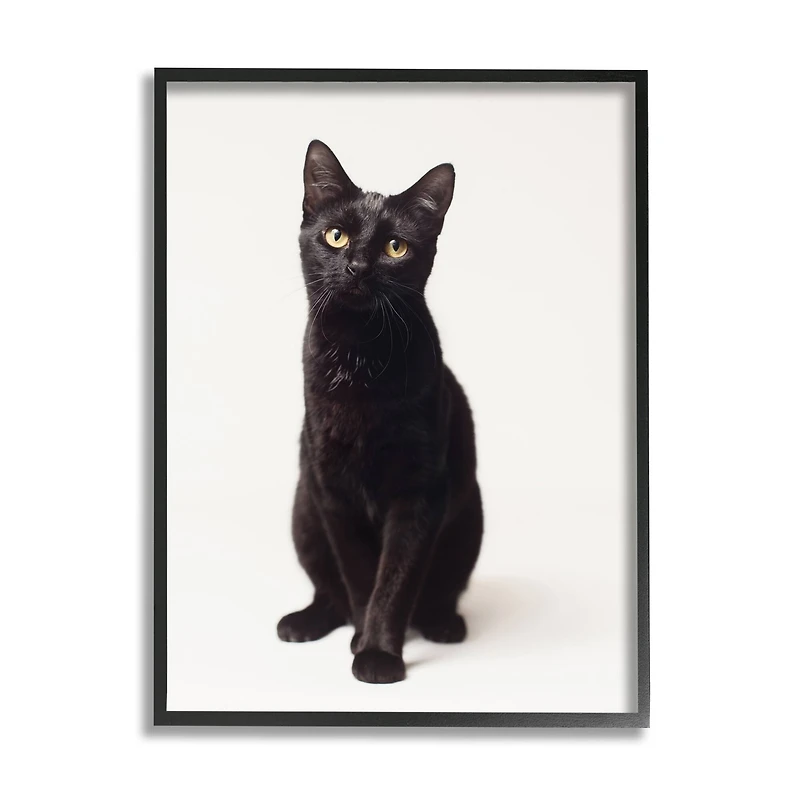 Stupell Industries Cute Black Cat Expressive Eyes Pet Portrait in Black Frame Wall Art