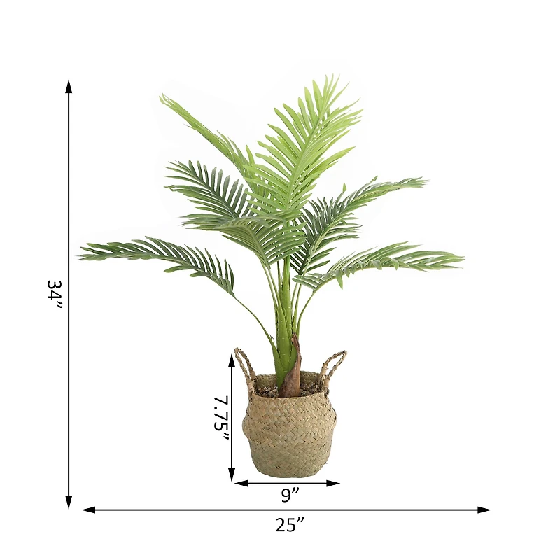 Flora Bunda® 3ft. Big Palm in Basket Planter