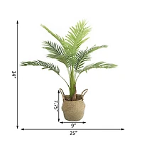 Flora Bunda® 3ft. Big Palm in Basket Planter