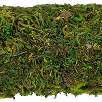 14" Green Reindeer Moss Square Spring Wreath