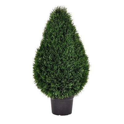 3ft. Potted Cedar Teardrop Shaped Bush