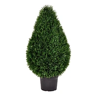 3ft. Potted Cedar Teardrop Shaped Bush