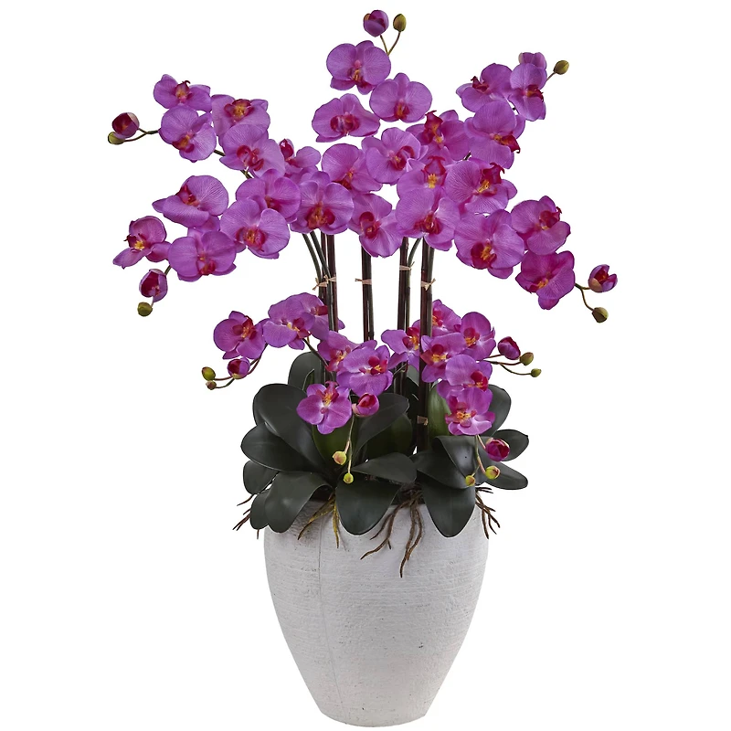 3ft. Moth Orchid Arrangement in White Planter