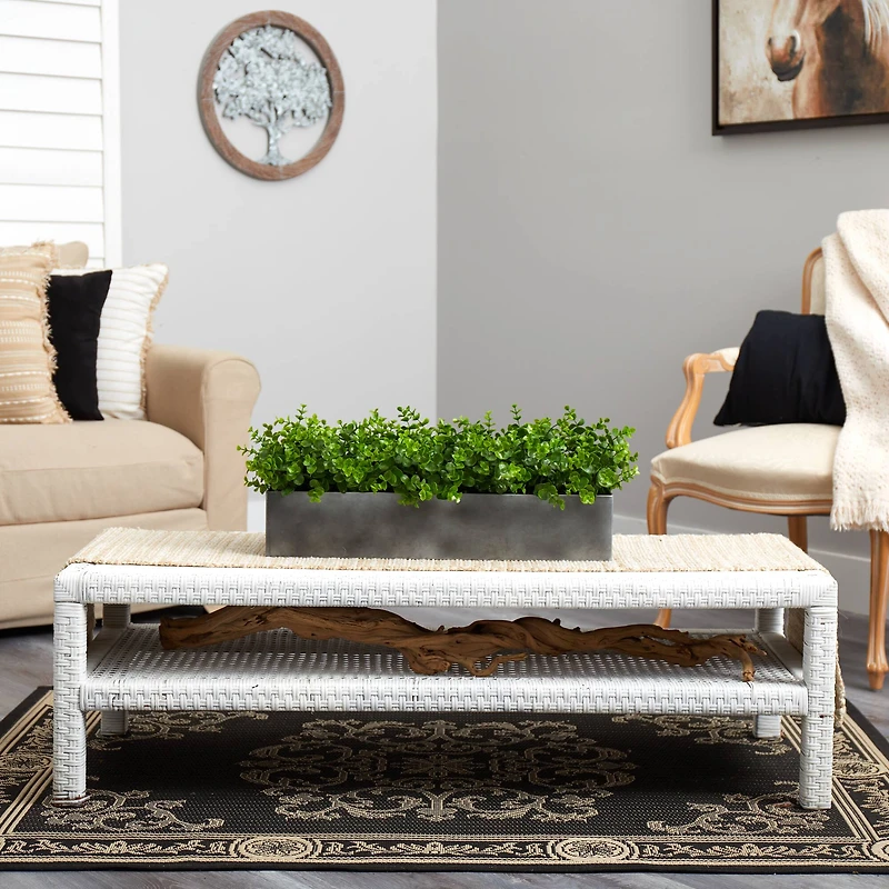 9" Potted Eucalyptus Plant