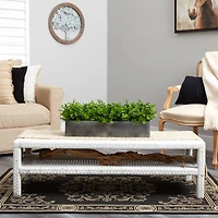 9" Potted Eucalyptus Plant