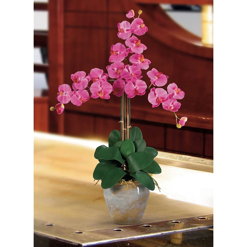 Triple Phalaenopsis Orchid Flower Arrangement In Ceramic Vase