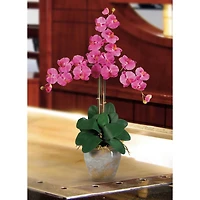 Triple Phalaenopsis Orchid Flower Arrangement In Ceramic Vase