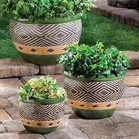 Green Jade Planter Set