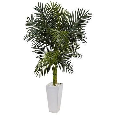 5ft. Potted Golden Cane Palm Tree in Decorative Planter