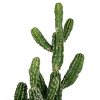 31" Artificial Green Potted Cactus