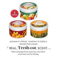 Scentsicles Candles Autumn 'n Apples, Pumpkin 'n Cider, Spiced Pine Cones, 3 pack