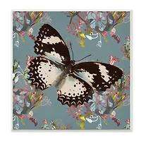 Stupell Industries Butterfly On Blue Pink Pattern Abstract Design,12" x 12"