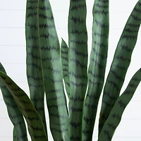 5ft. UV Resistant Artificial Snake Plant in White Decorative Planter