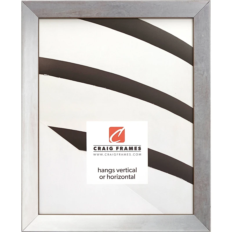 Craig Frames Alloy Nickel Picture Frame