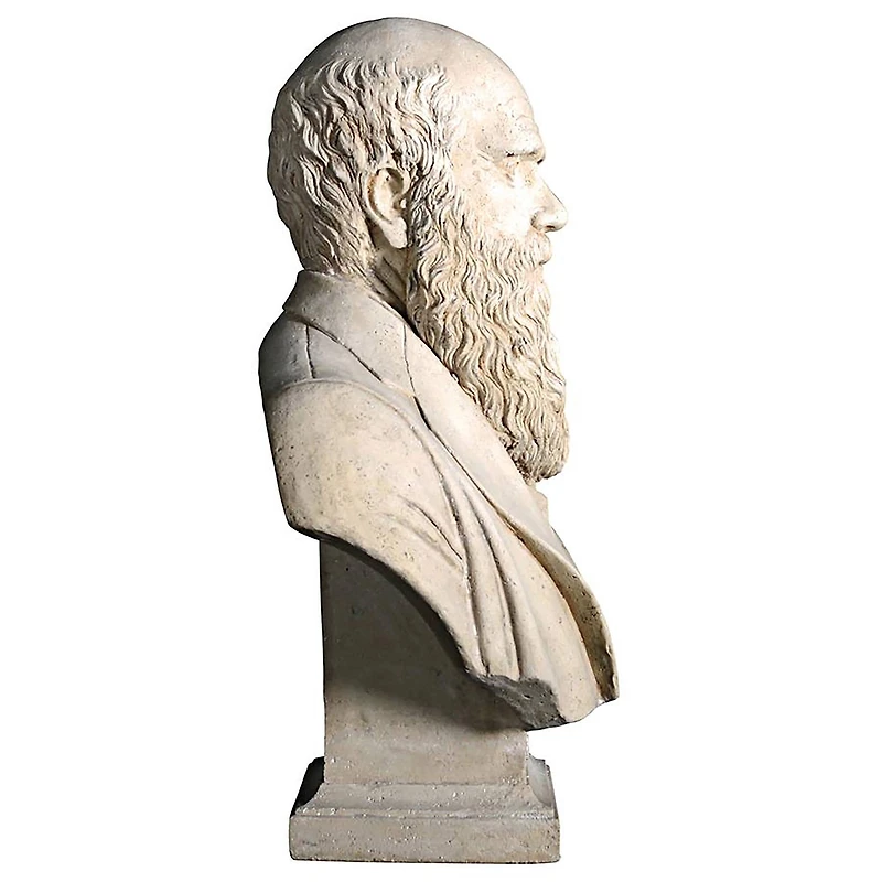 Design Toscano 27" The Evolution of Charles Darwin Bust Statue