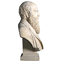 Design Toscano 27" The Evolution of Charles Darwin Bust Statue