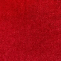 Red Stretch Velvet