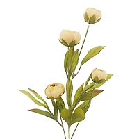 Tan Peony Stem by Ashland®