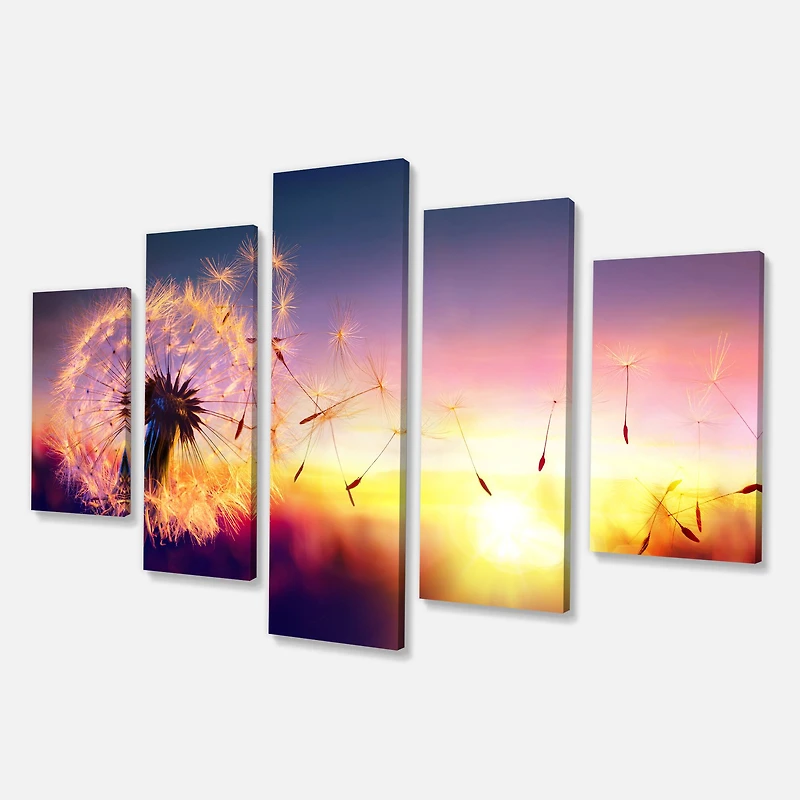 Designart - Dandelion at Sunset Freedom to Wish - Contemporary Wall Art Canvas