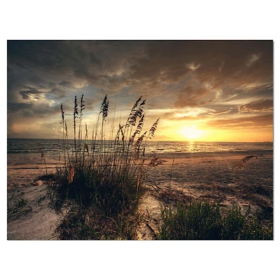 Designart - Grassy and beach sunset