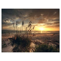 Designart - Grassy and beach sunset