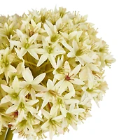31" White Allium Artificial Flower Stem, 8ct.