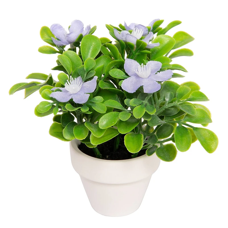 Assorted Micro Premade Flowering Plant, 1pc. by Ashland®