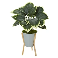 2.5ft. Hosta Plant in Green Planter with Stand