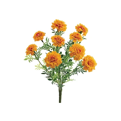 Marigold Bush