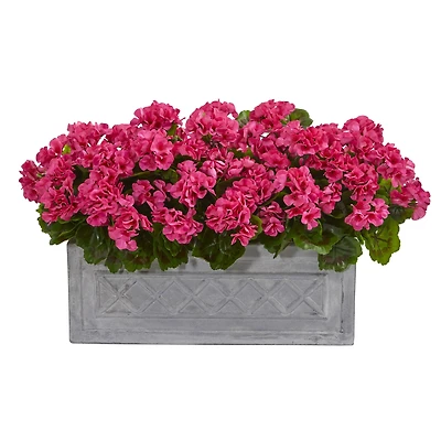 18” Beauty Geranium in Stone Planter