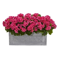 18” Beauty Geranium in Stone Planter