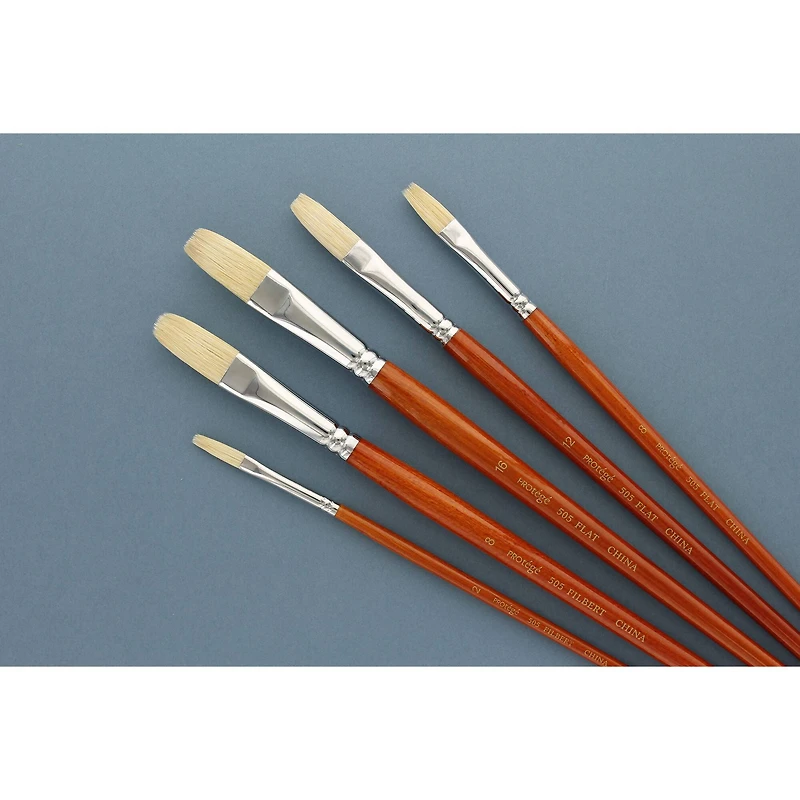 Protégé Hog Bristle Long Handle 5 Piece Brush Set
