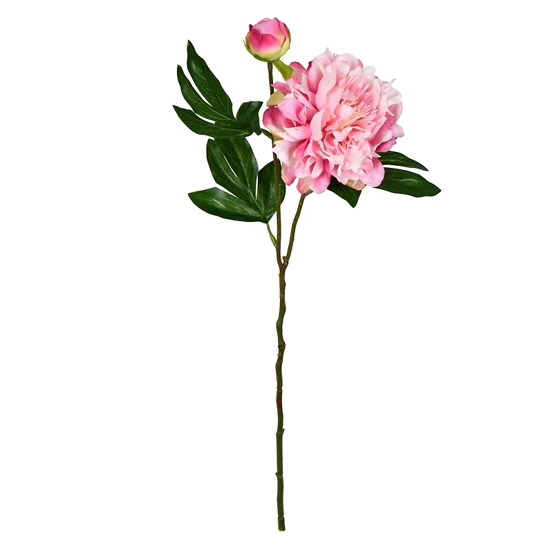Light Pink Peony Stem, 6ct.