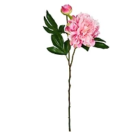 Light Pink Peony Stem, 6ct.