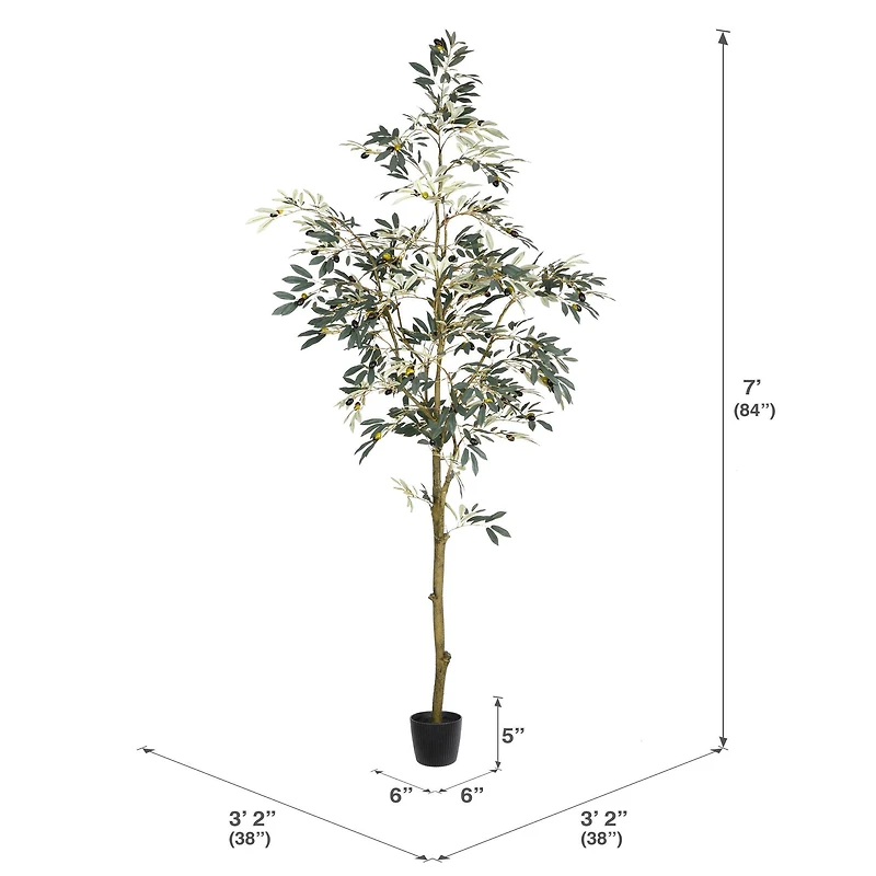 7ft. Potted Olive Tree