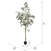7ft. Potted Olive Tree