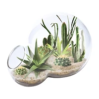 Double Sphere Glass Terrarium - Desert Escape Growarium