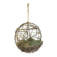 8.5" Moss Nest Grapevine Form by Ashland®