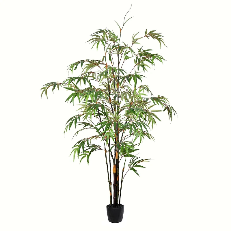 5ft. Potted Black Japanese Bamboo Tree