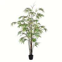 5ft. Potted Black Japanese Bamboo Tree