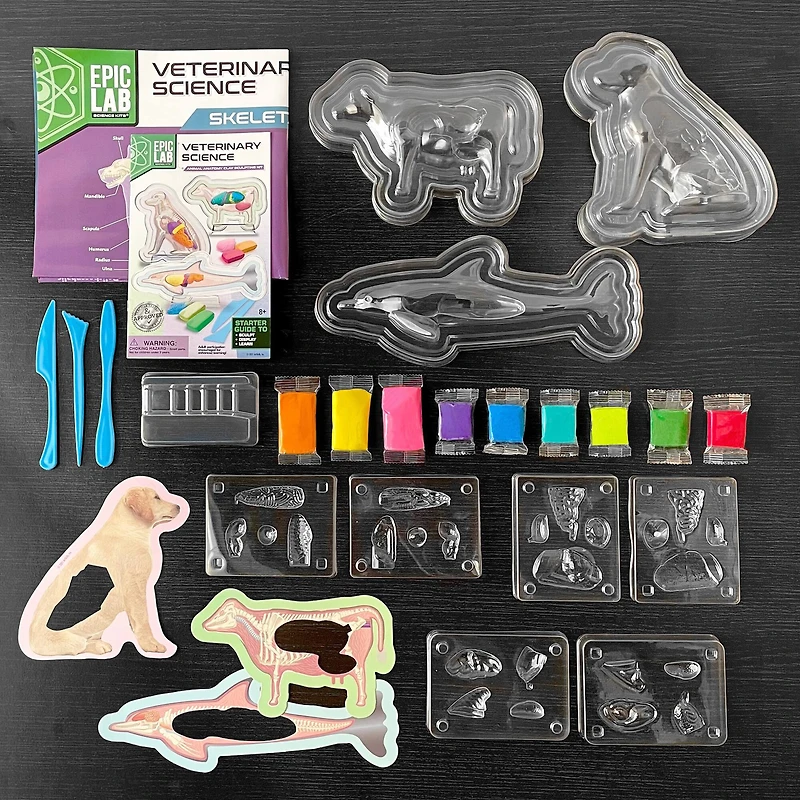 ArtSkills® Epic Lab Veterinary Science STEM Kit