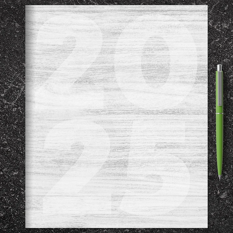 TF Publishing 2025 Driftwood Large Monthly Planner