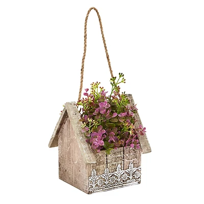 11" Sedum & Eucalyptus Plant in Birdhouse Hanging Basket