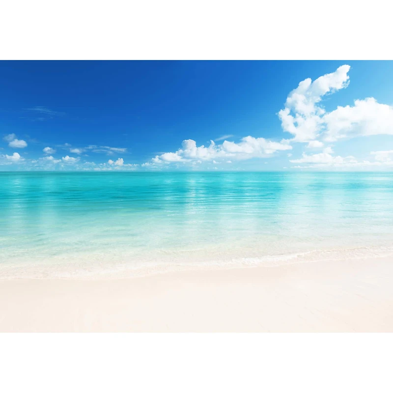 Ideal Décor The Beach Wall Mural