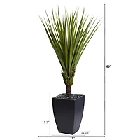 5.4ft. Spiky Agave Artificial Tree in Black Planter