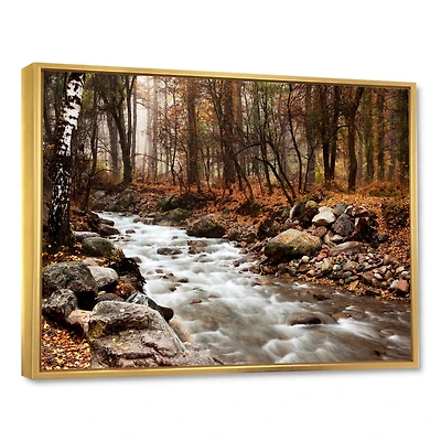 Designart - Stream in Autumn Forest